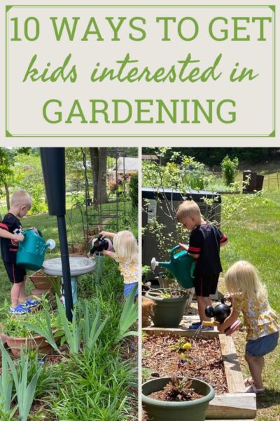 Gardening Know How via Nikki Tilley