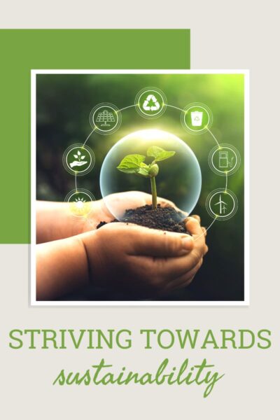 Hands holding a seedling, surrounded by recycling and renewable energy symbols